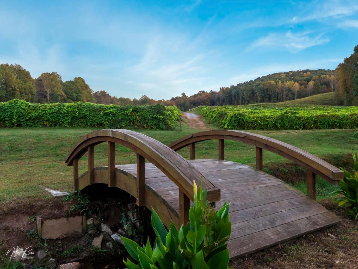 Log Cabin With Mountain View And Privacy Vila Blue Ridge Exterior foto